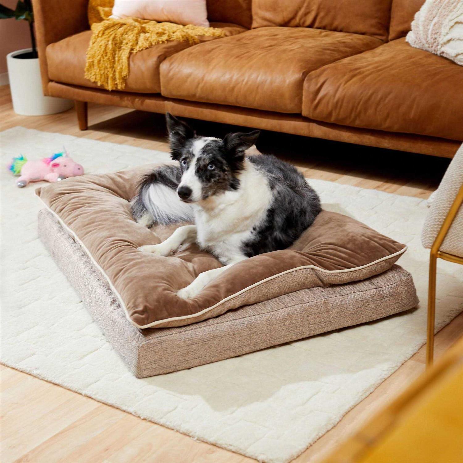 Frisco Plush Orthopedic Pillowtop Dog Bed w/Removable COVER - Nail Gallerys