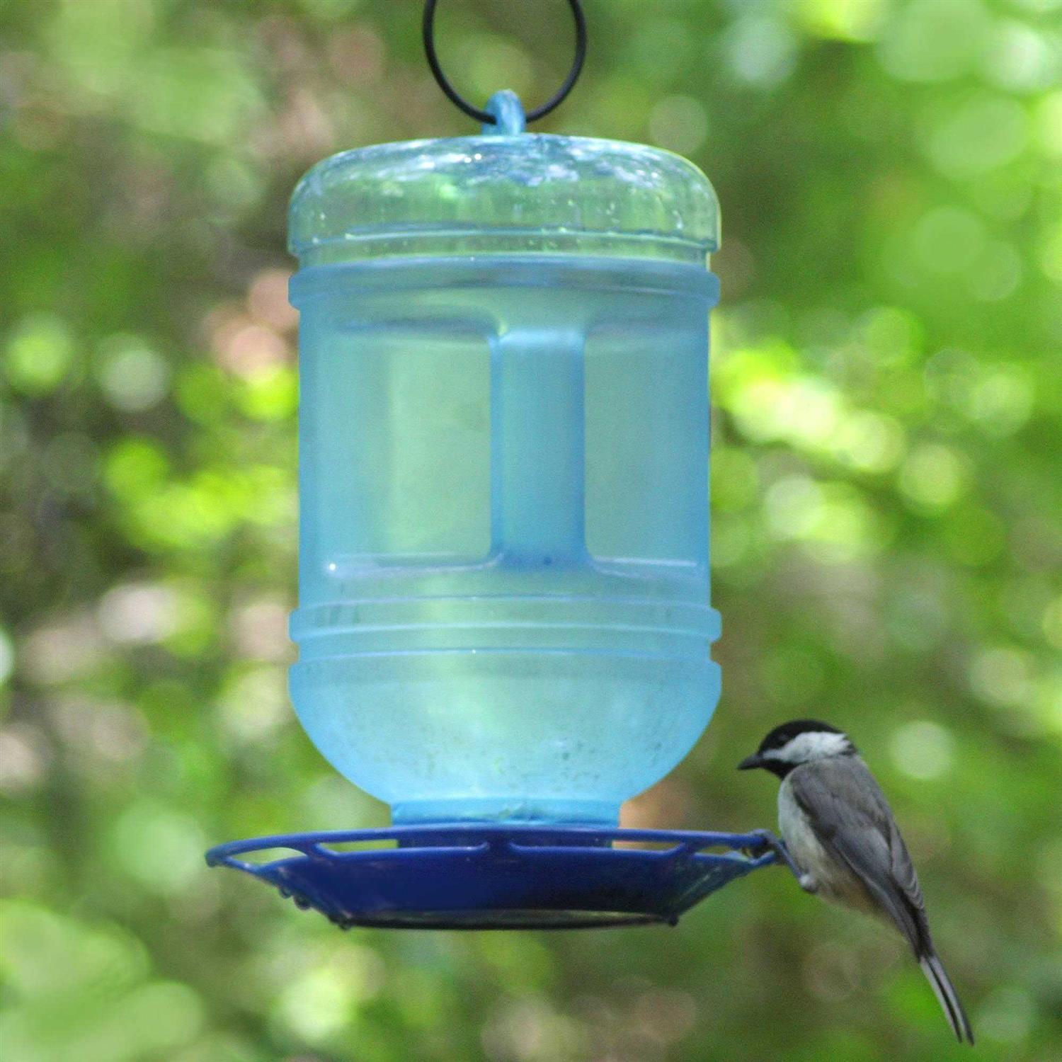 Perky Pet Water Cooler Bird Waterer - Nail Gallerys