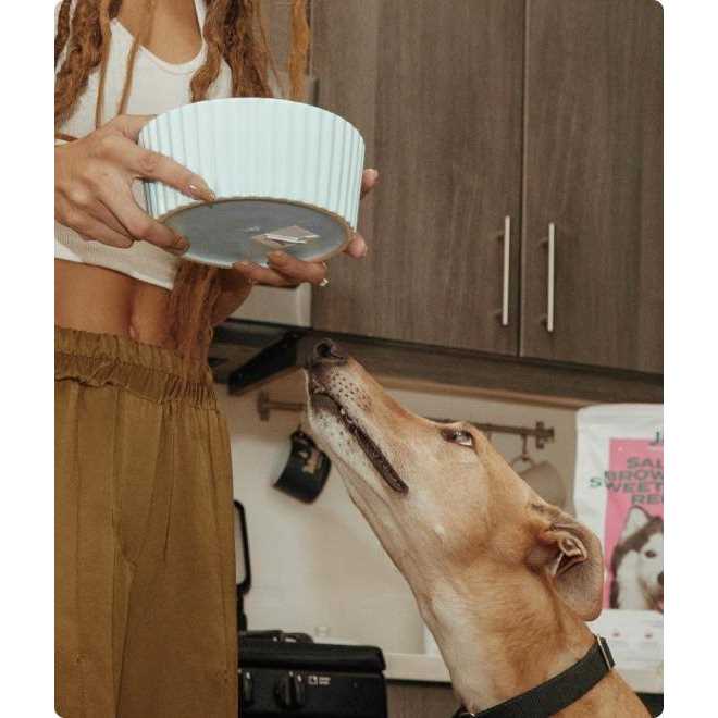 Jinx Freeze Dried Salmon Dry Dog Food Topper - Nail Gallerys