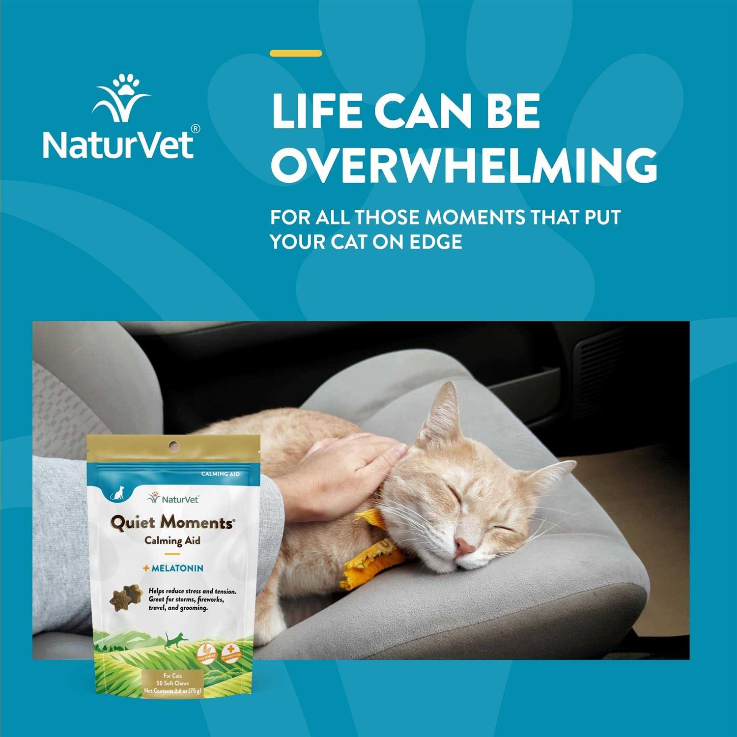 NaturVet Quiet Moments Calming Aid Plus Melatonin Cat Soft Chews - Nail Gallerys