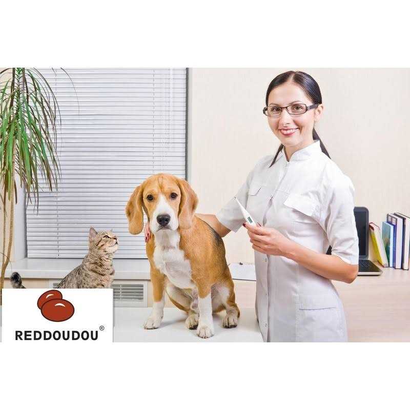 Reddoudou Digital Pet Thermometer for Accurate Fever Detection, Suitable for Cats/Dogs/Horse/Veterinarian, Waterproof Pet Thermometer, Fast and - Nail Gallerys