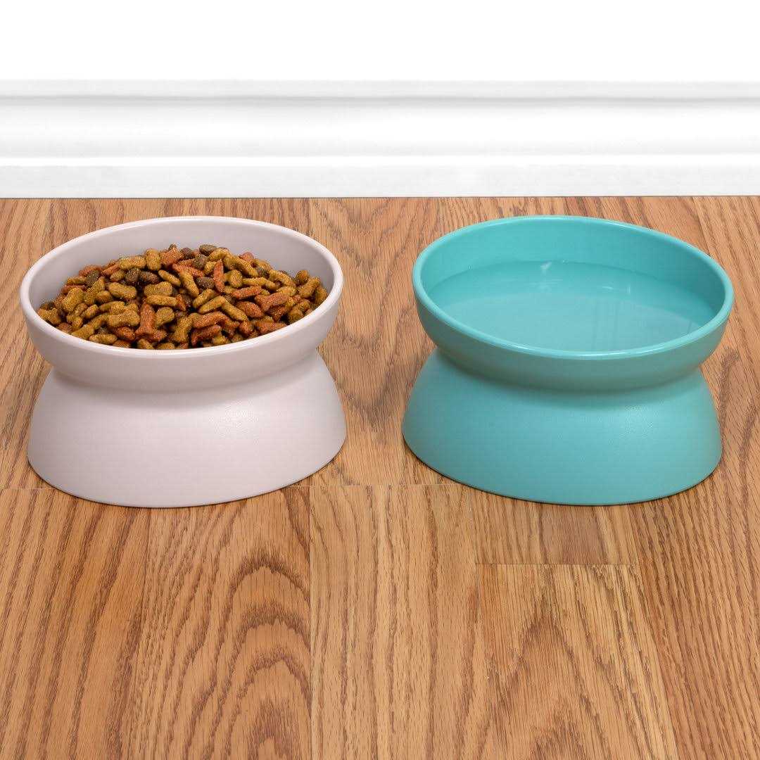 Kitty City Raised Cat Food Bowl Collection_Stress Free Pet Feeder and Waterer - Nail Gallerys