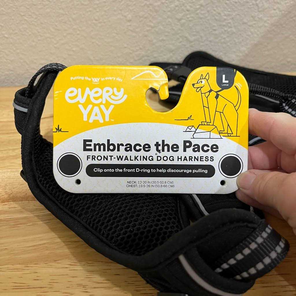 EveryYay Embrace the Pace Black Front Walking Dog Harness - Nail Gallerys