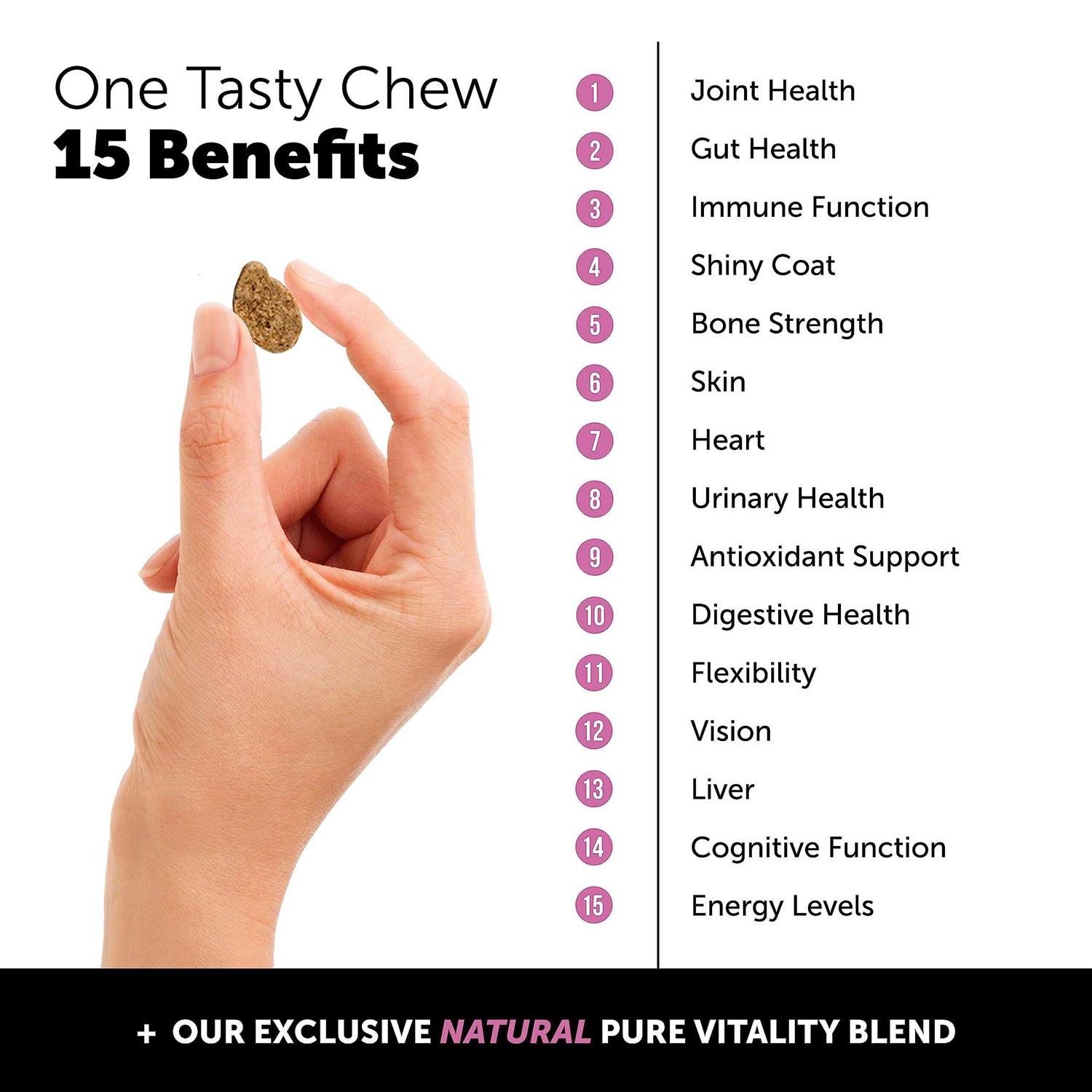 Pet Honesty Dog Multivitamin Max Strength Glucosamine Chews - Nail Gallerys