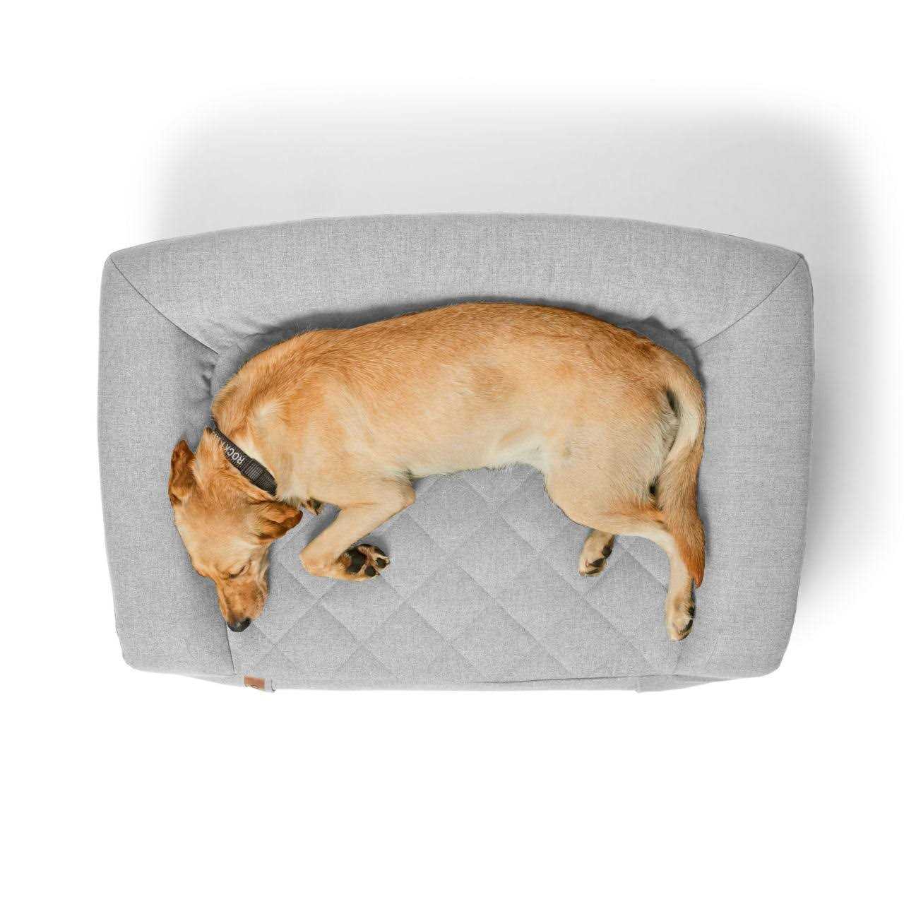 Orvis RecoveryZone Couch - Nail Gallerys