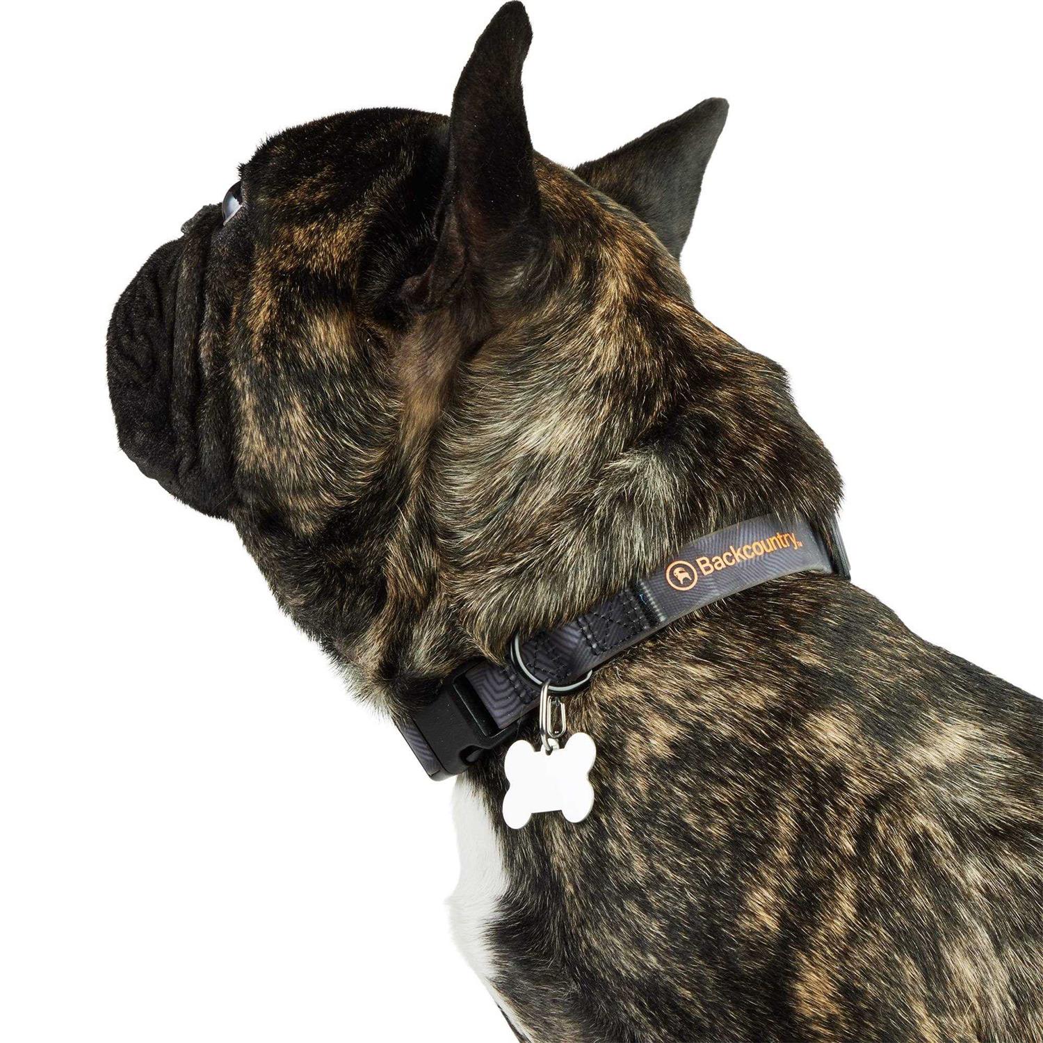 Backcountry x Petco The Dog Collar - Nail Gallerys