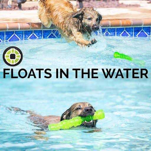 Hyper Pet Dura-Squeaks Dog Toy Stick - Nail Gallerys