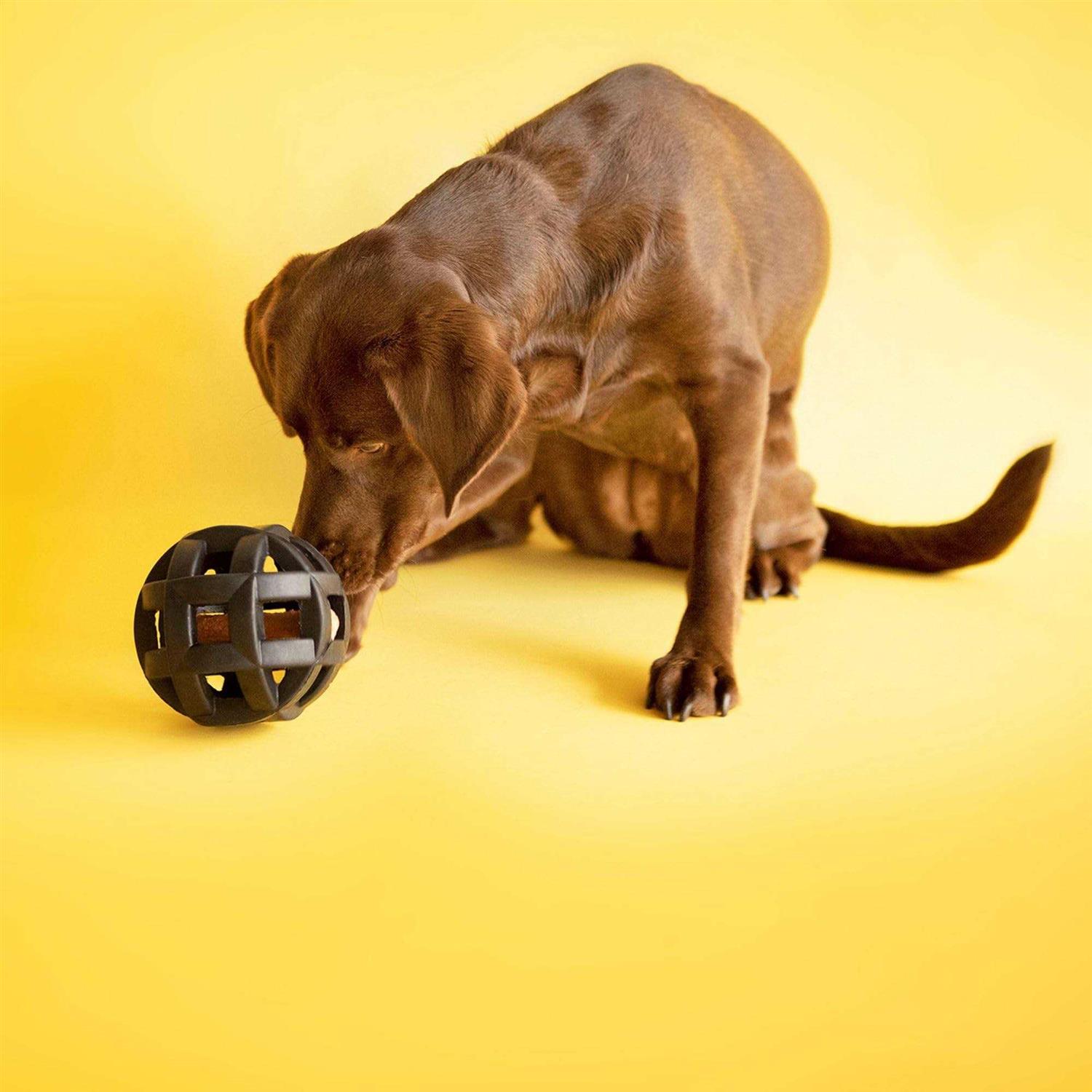 JW Pet Hol-ee Roller X Extreme Dog Toy - Nail Gallerys