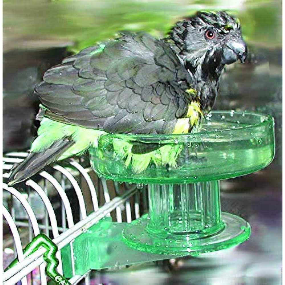 Lixit Quick Lock Bird Bath - Nail Gallerys