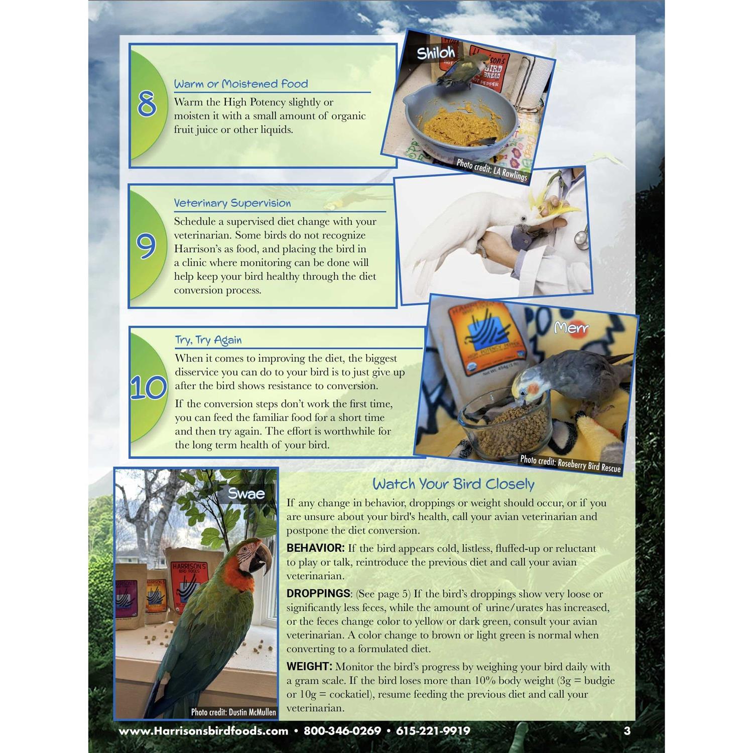 Harrison&s Adult Lifetime Coarse 5lb - Nail Gallerys