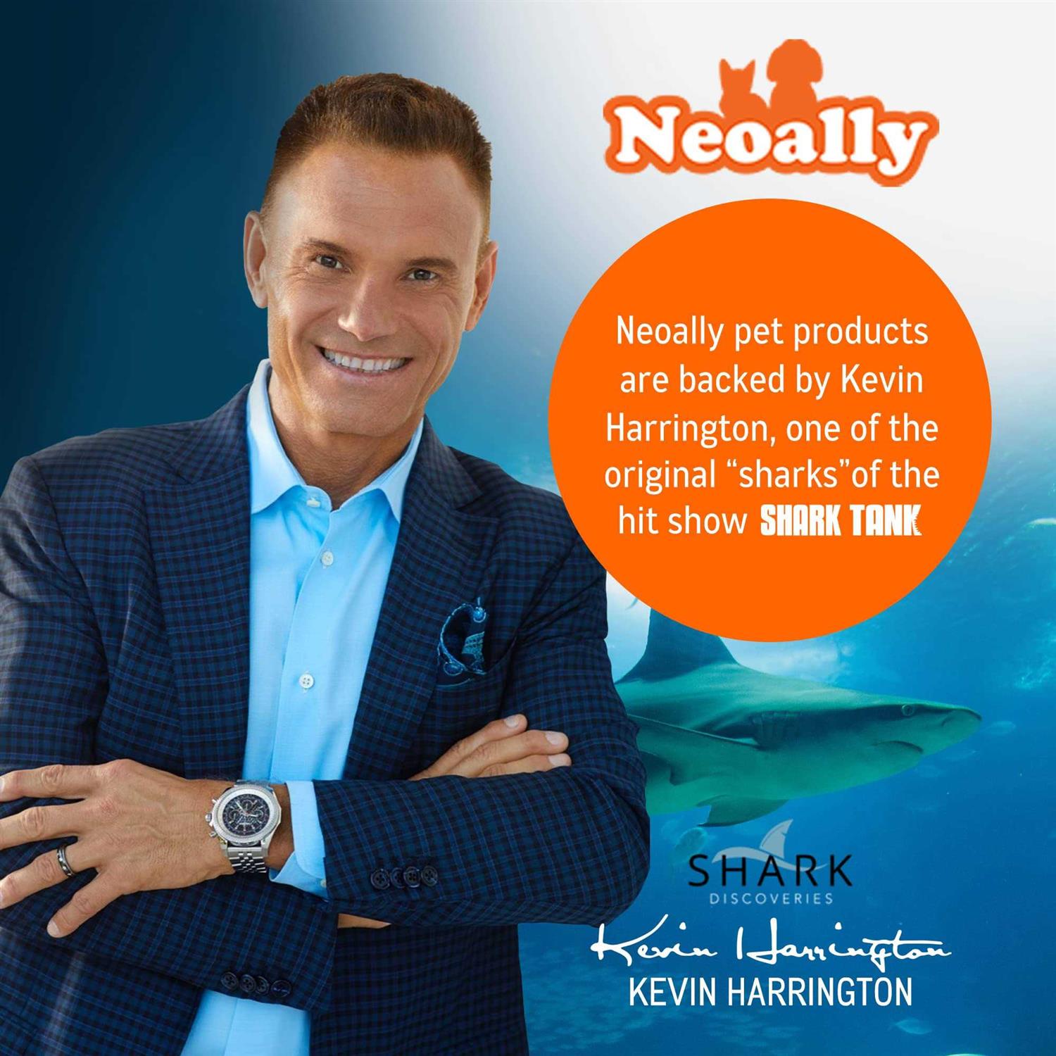 NeoAlly 3-in-1 Dog Splint Front Leg Support, Front Leg Brace with Rigid and Spring Inserts - Nail Gallerys