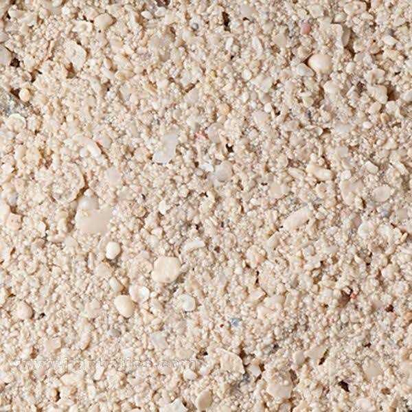 CaribSea Ocean Direct Caribbean Live Aquarium Sand - Nail Gallerys