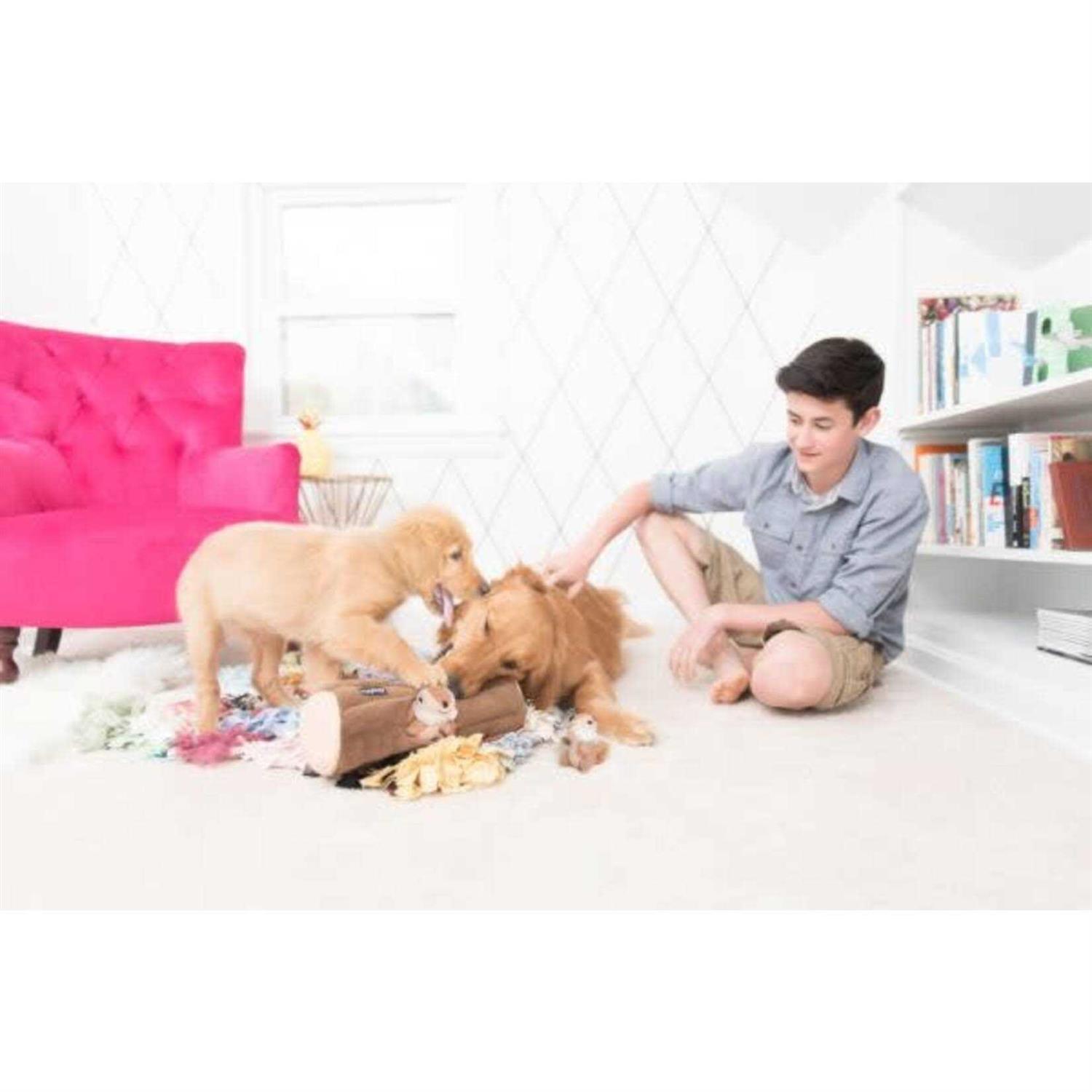 ZippyPaws Zippy Burrow Chipmunks Log Dog Toy - Nail Gallerys