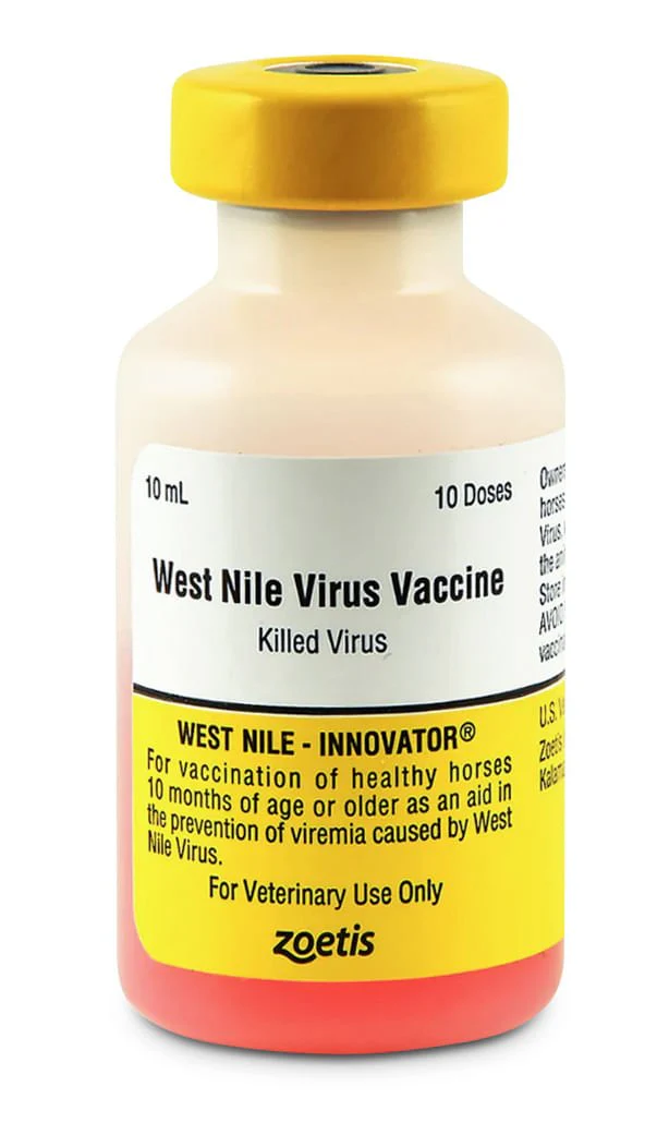 West Nile Innovator - Nail Gallerys