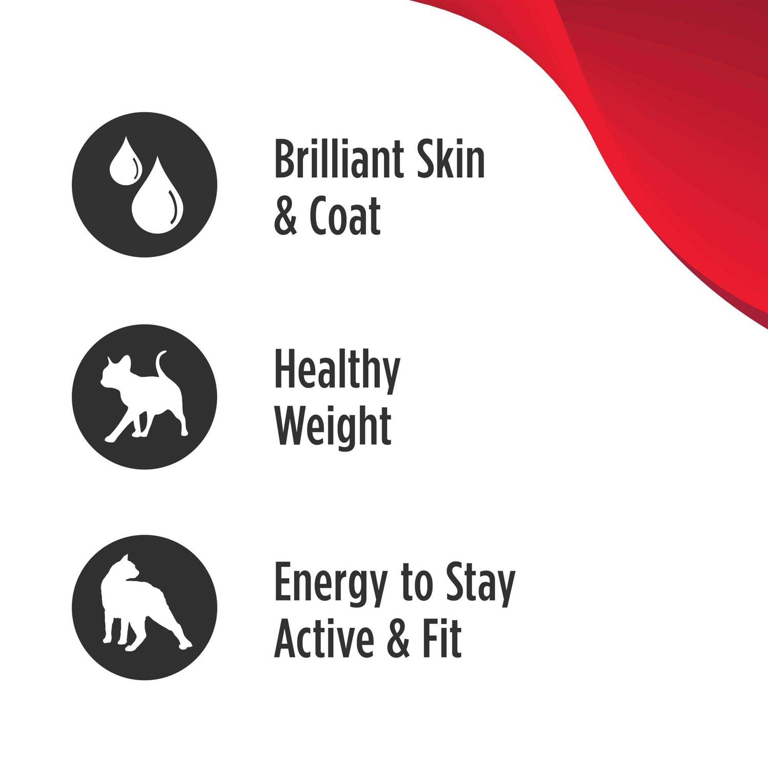 Nulo MedalSeries Grain-Free Salmon & Sweet Potato Adult Weight Management Dry Cat Food - Nail Gallerys