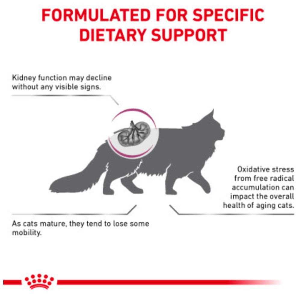 Royal Canin Veterinary Diet Feline Renal Support S Adult Dry Cat Food - Nail Gallerys