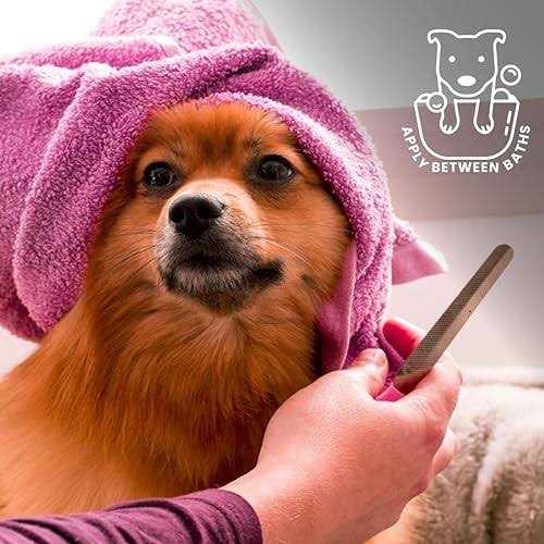 Best Shot Ultramax Pro Finishing Spray - Nail Gallerys