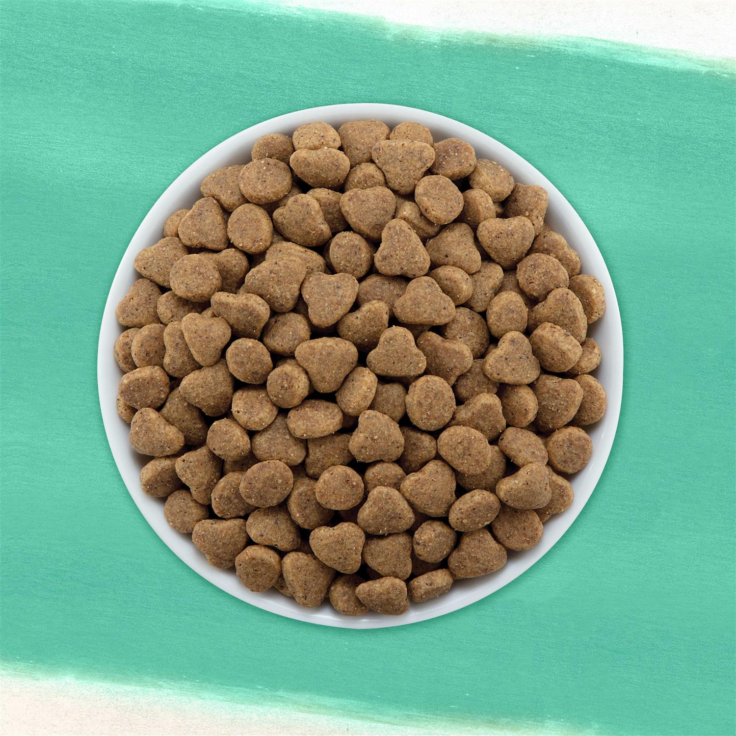 Purina Beyond Grain Free Dry Cat Food - Nail Gallerys