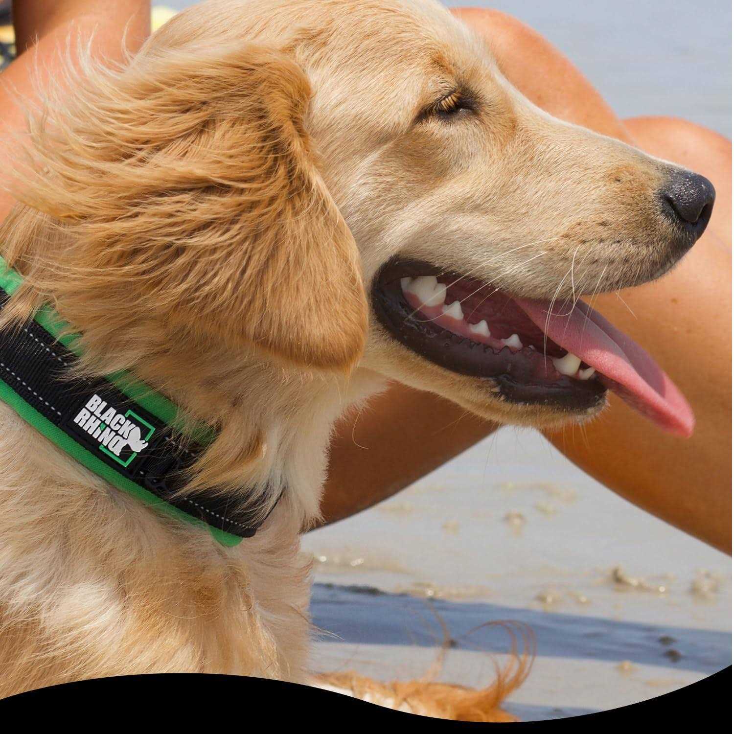 Black Rhino The Comfort Collar Ultra Soft Neoprene Padded Dog Collar for All Breeds - Nail Gallerys