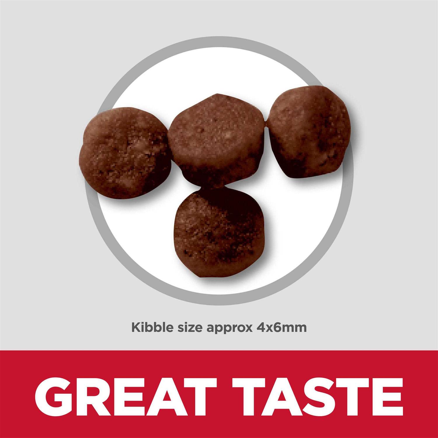 Hill’s Science Diet Kitten Ocean Fish & Brown Rice Recipe Dry Cat Food - Nail Gallerys