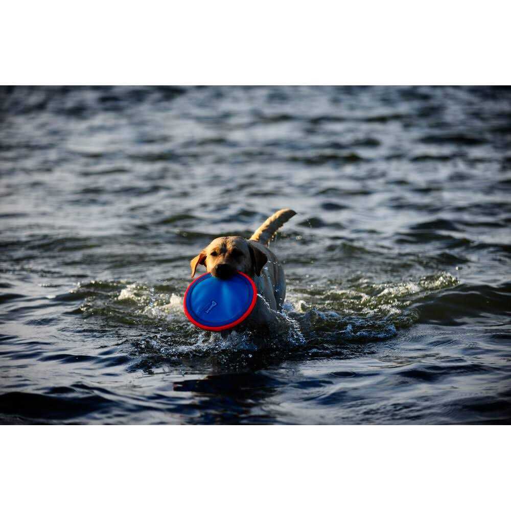 Chuckit! Dog Toy Paraflight - Nail Gallerys