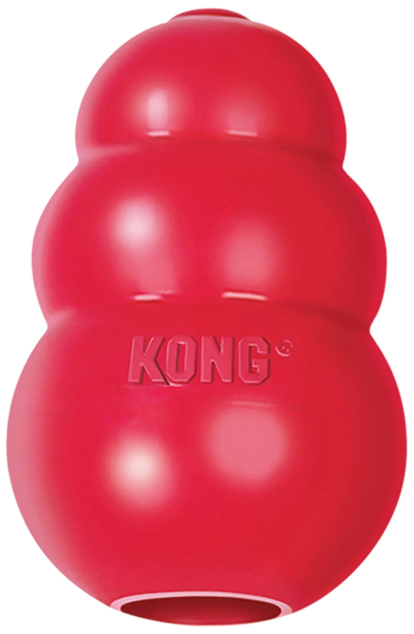 KONG Classic Dog Toy - Nail Gallerys