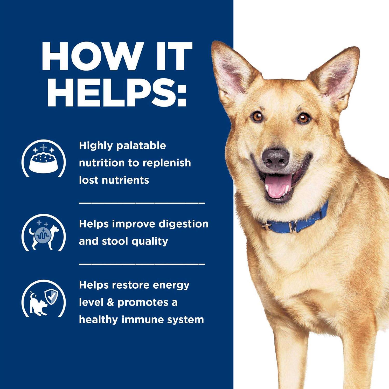 Prescription Diet i/d Digestive Care Cat Canned Food - Nail Gallerys