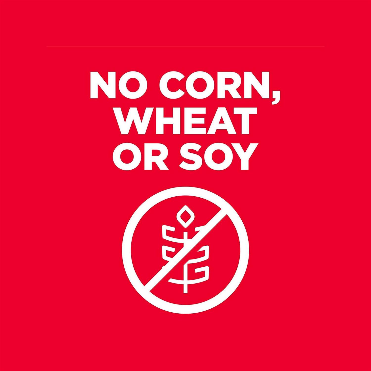 Hill’s Science Diet Senior 7+ No Corn, Wheat or Soy Dry Dog Food - Nail Gallerys