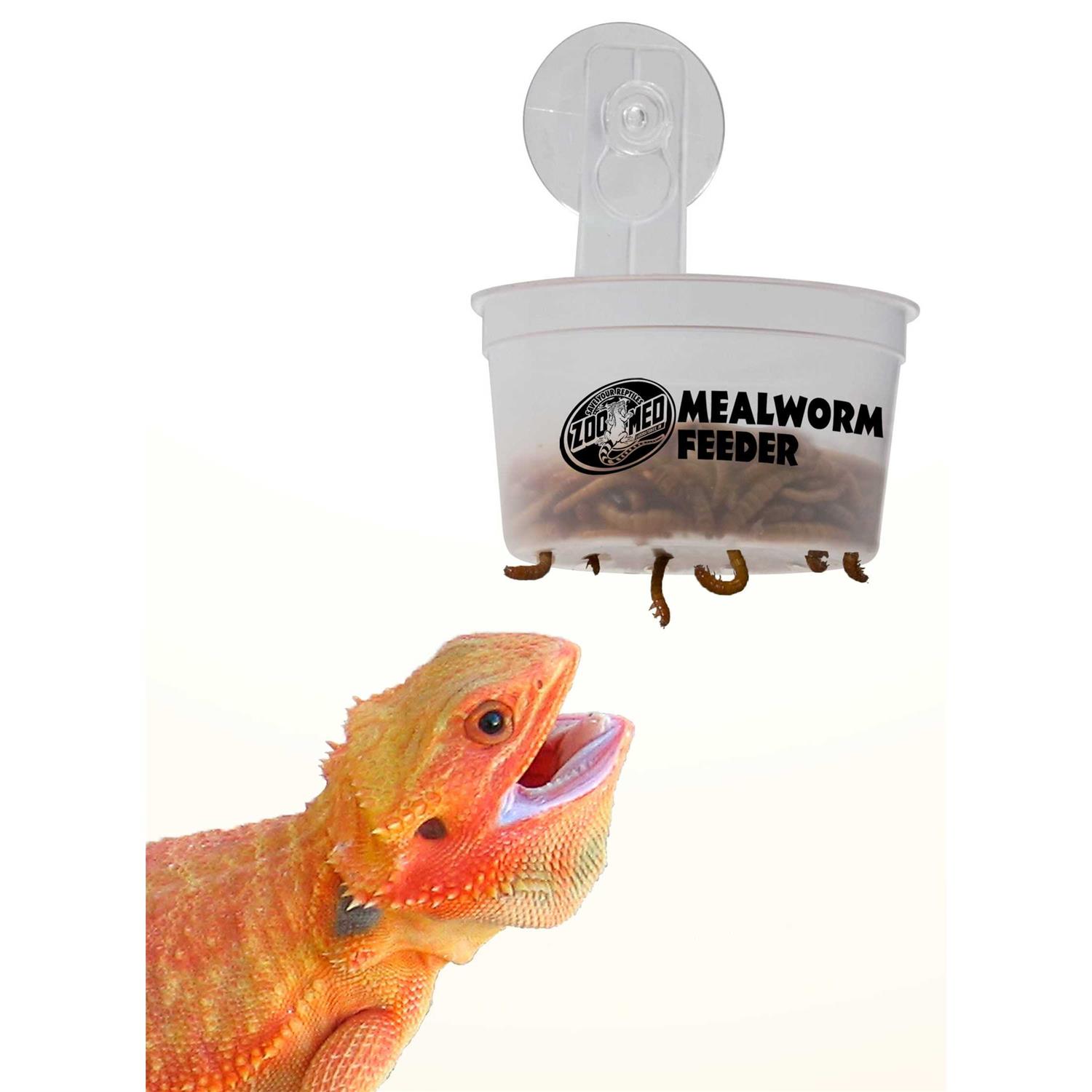 Zoo Med Hanging Mealworm Feeder - Nail Gallerys