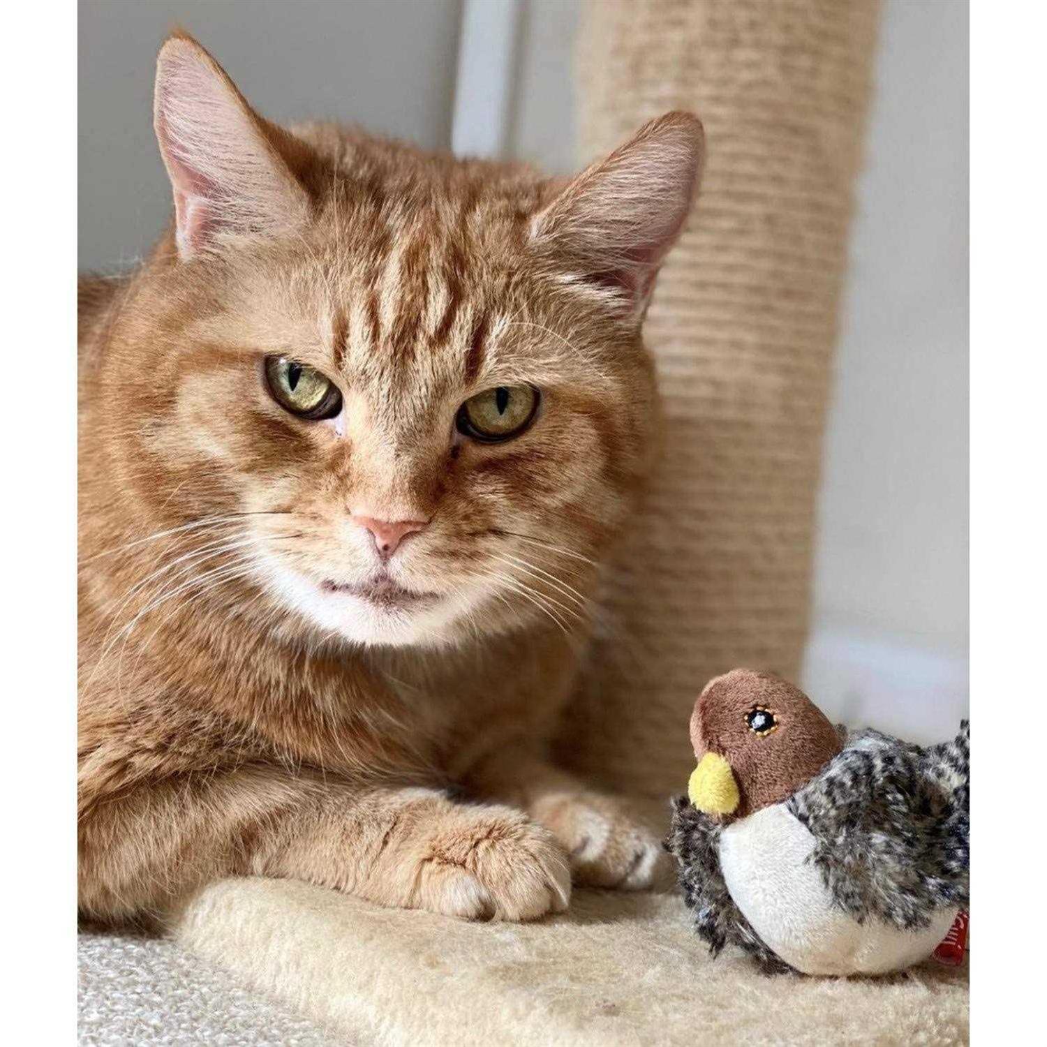 Gigwi Melody Chaser Motion Activated Bird - Nail Gallerys