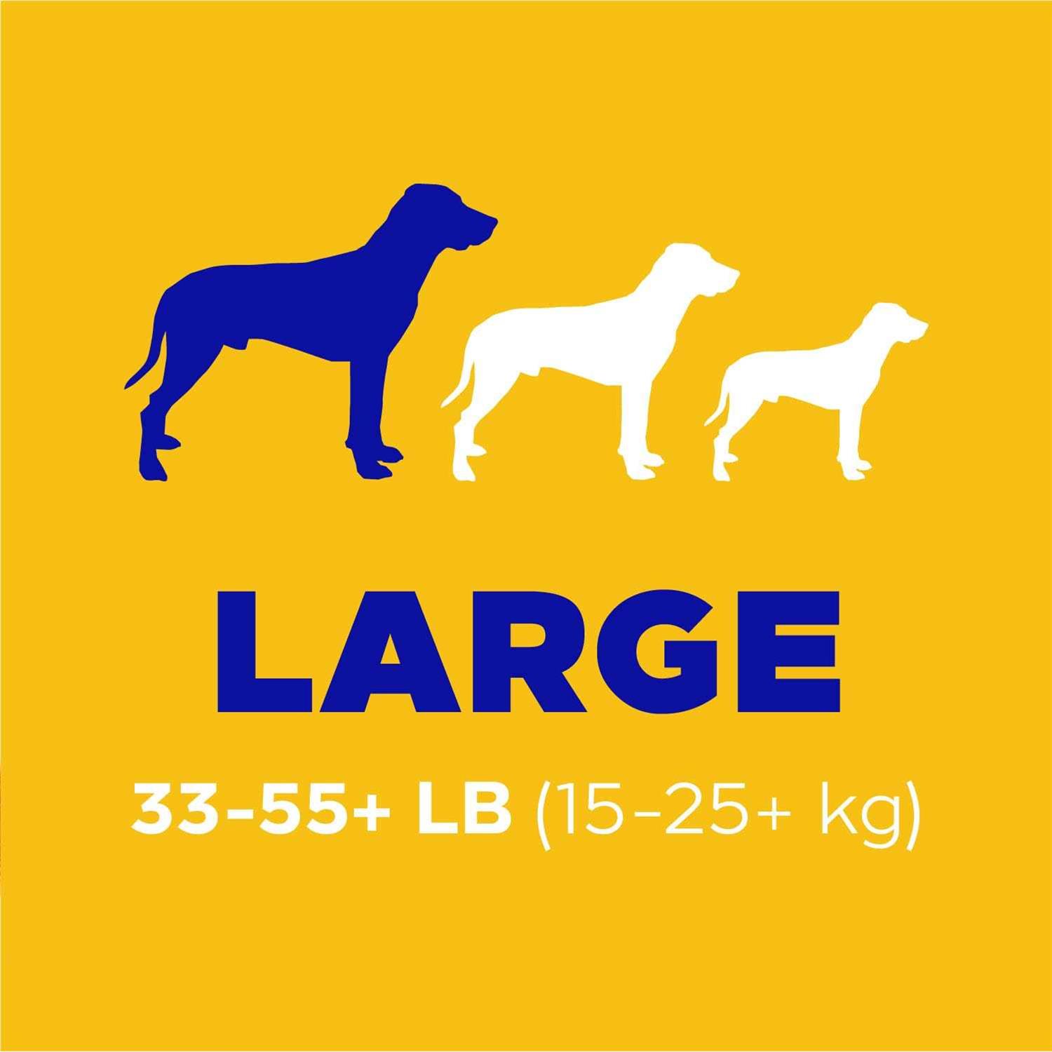 Pedigree Dentastix Chewy Chunx Chicken Flavour 68g - Nail Gallerys