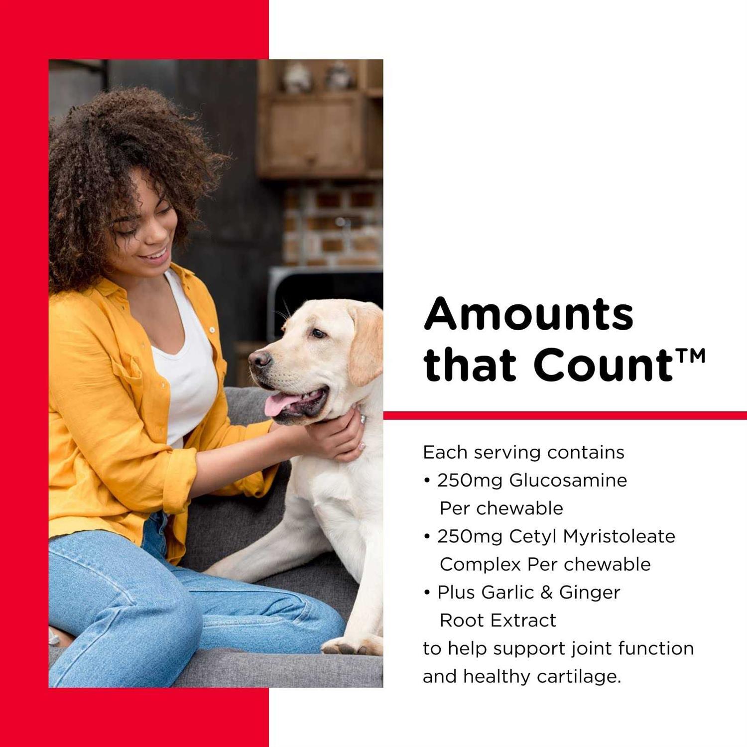 Advanced Cetyl M Joint Action Formula for Dogs - Nail Gallerys