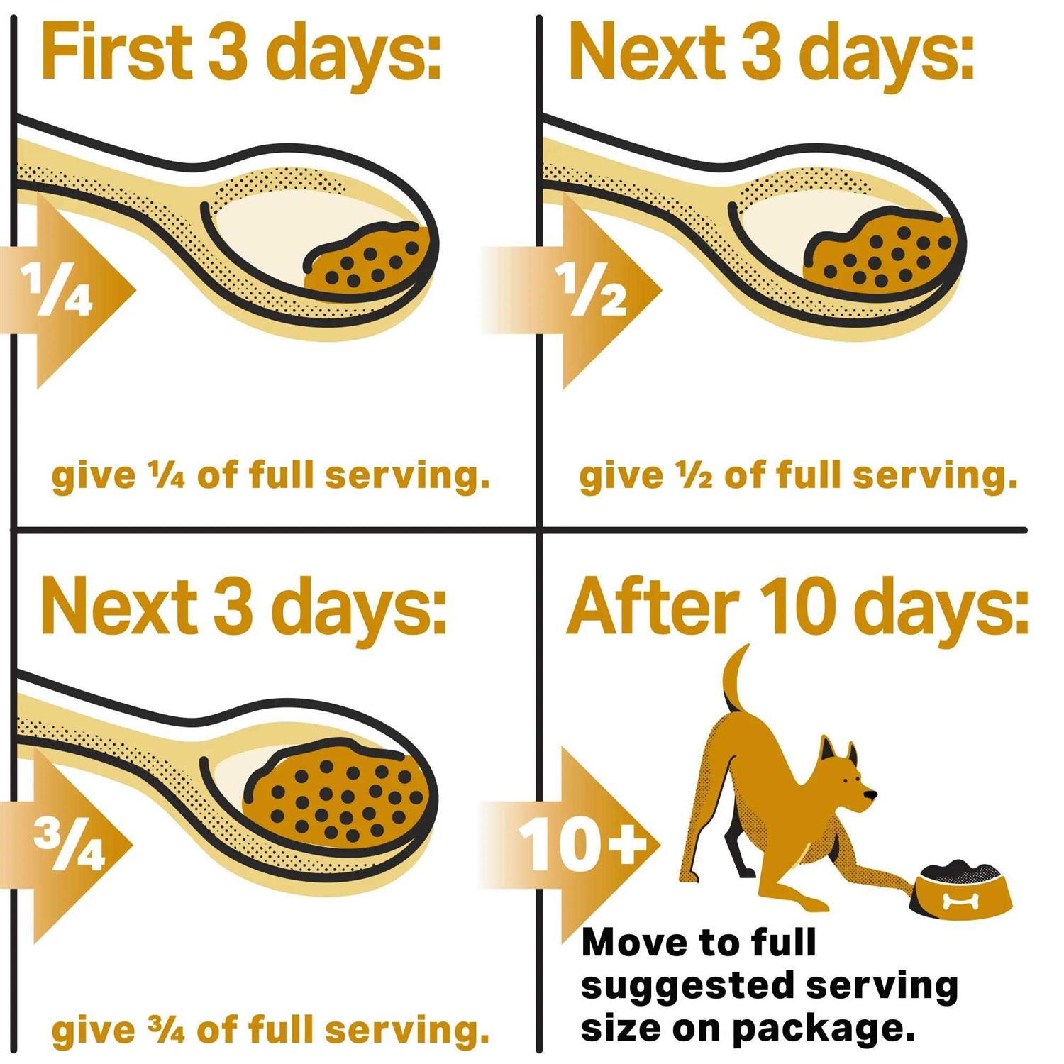 The Missing Link Skin & Coat Powder Supplement - Nail Gallerys