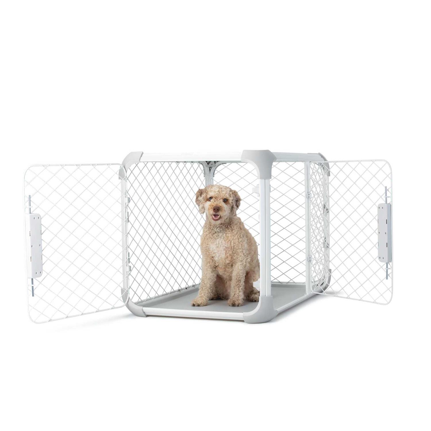 Diggs Evolv Dog Crate - Nail Gallerys