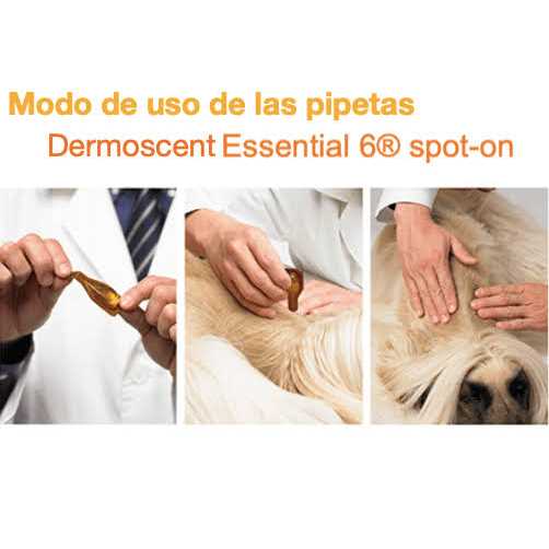 Dermoscent Essential 6 Spot-On Dogs - Nail Gallerys