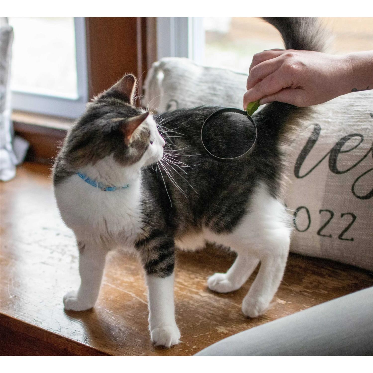 Safari Cat Shedding Blade - Nail Gallerys