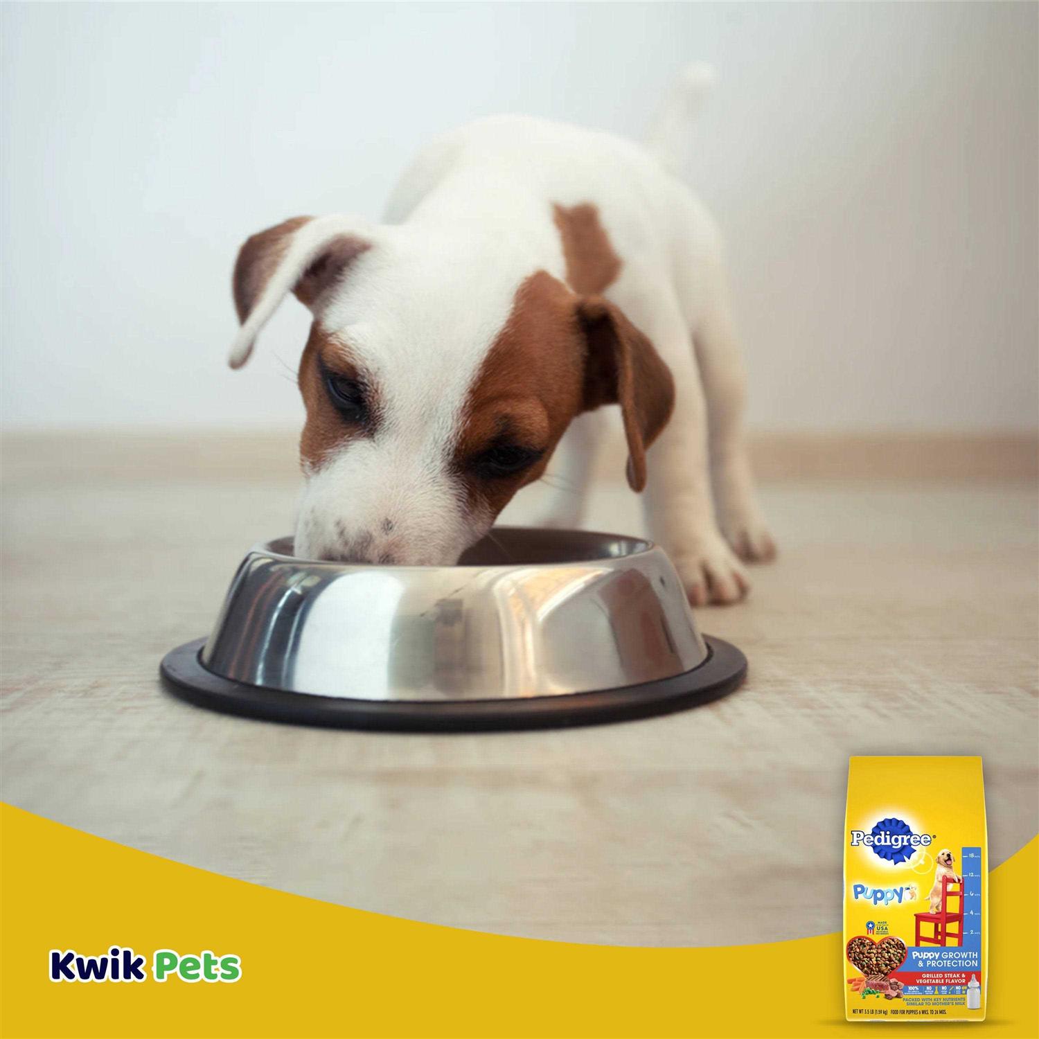 Pedigree Puppy Growth & Protection Dry Dog Food Vegetable Flavor - Nail Gallerys