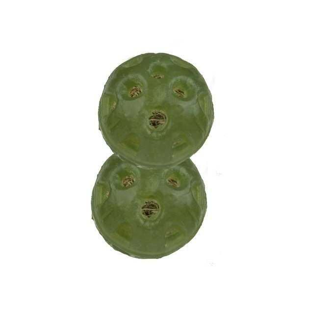 Wild Harvest Foraging Instincts Interactive Small Animal Treat - Nail Gallerys