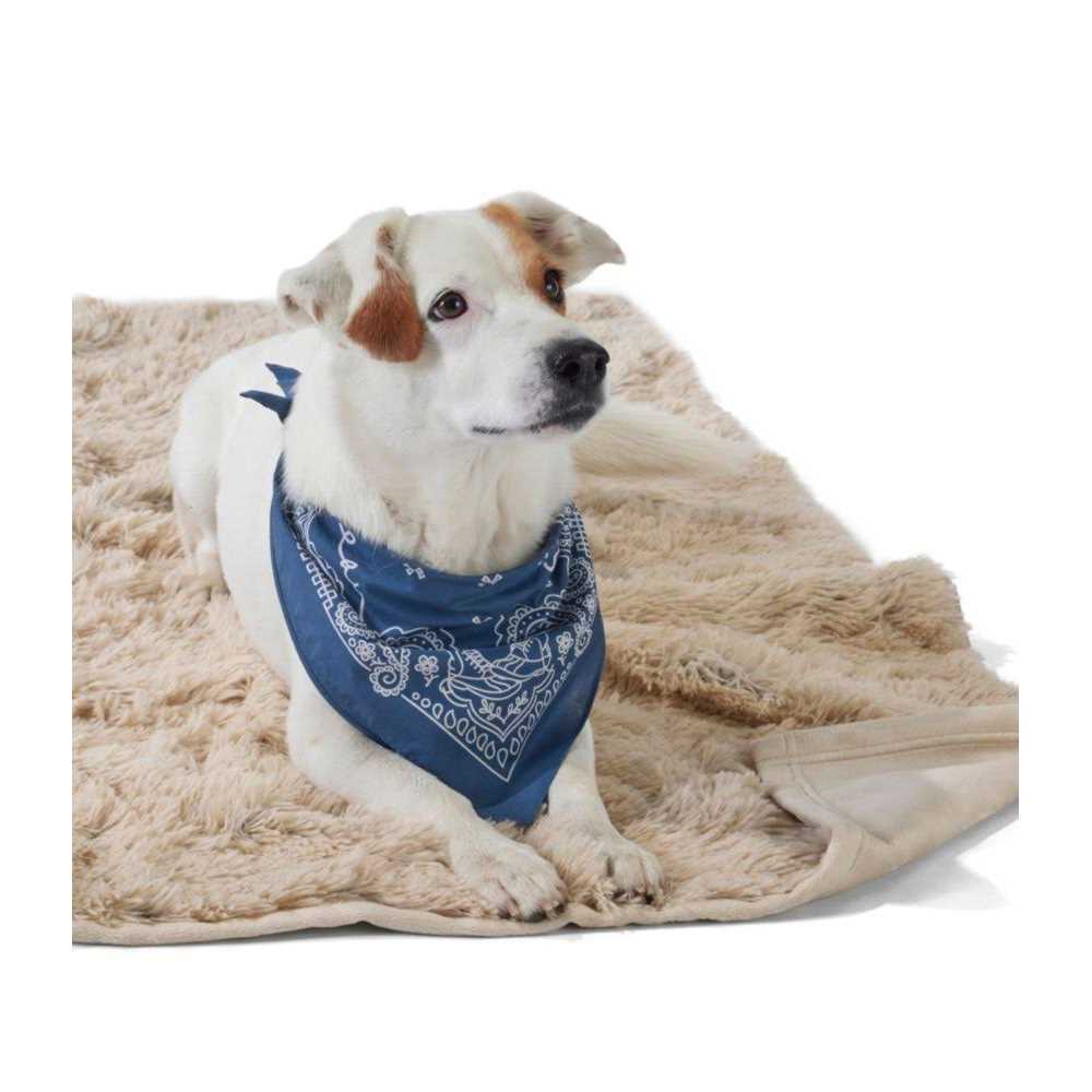Tall Tails Dog Waterproof Blanket - Nail Gallerys