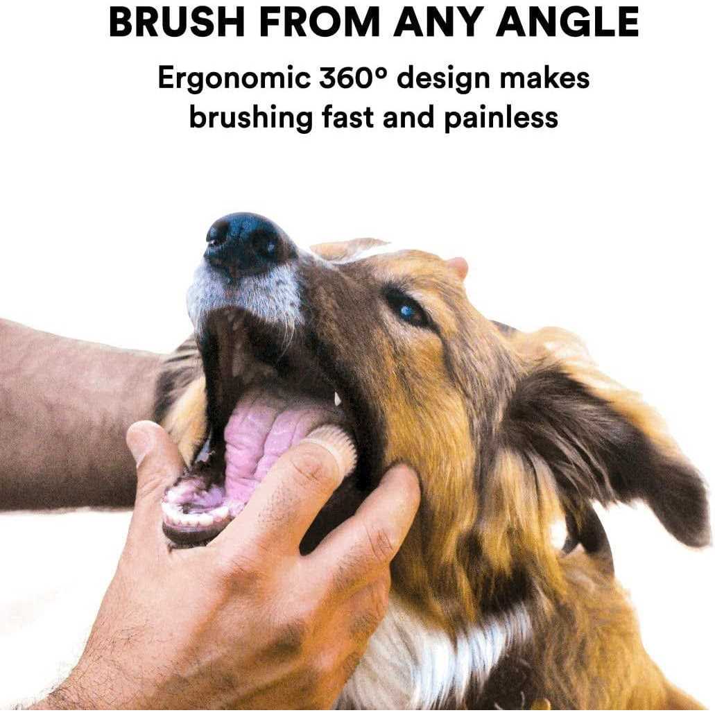Jasper 360 Finger Dog Toothbrush - Nail Gallerys