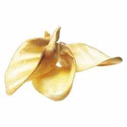 Redbarn Cow Ears - Nail Gallerys