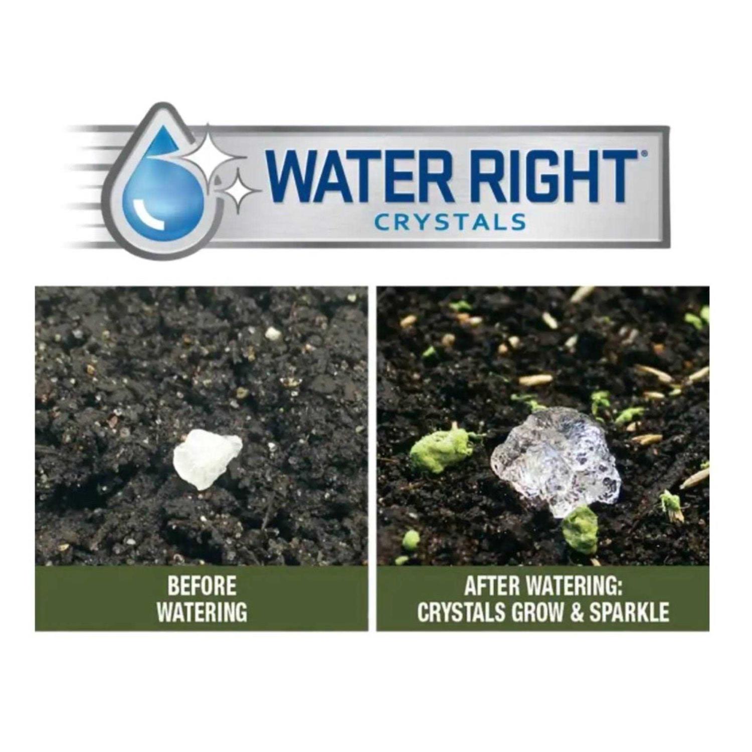 Earth Science Butterfly & Hummingbird Wildflower Mix - Nail Gallerys