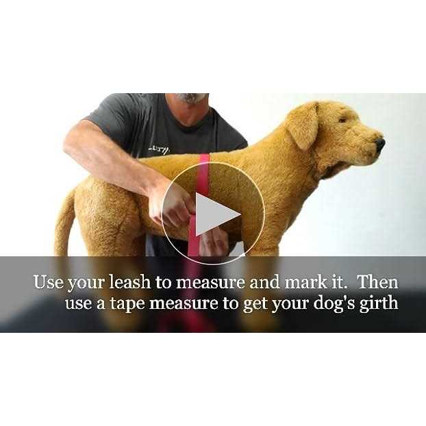 Doggie Stylz Dog Vest Harness Comes with 2 Reflective Removable Patches Please Measure Dog - Nail Gallerys