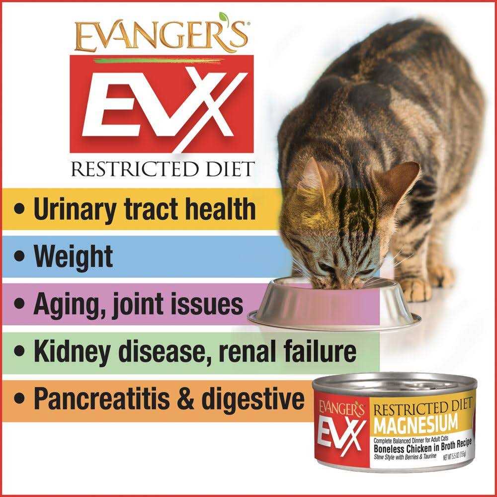 Evangers Beef Tips with Gravy Canned Cat Food - Nail Gallerys