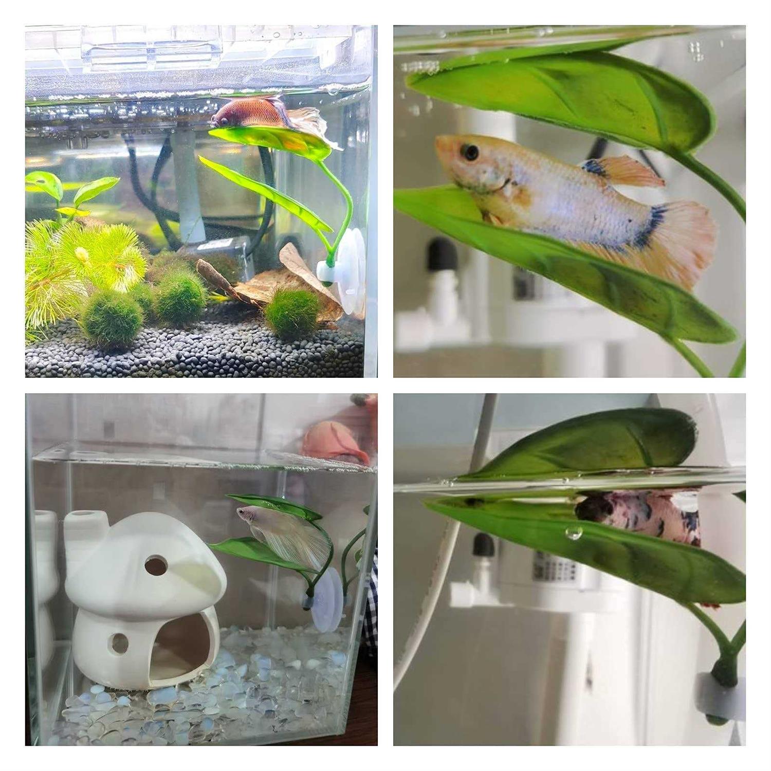 Betta Fish Leaf Pad Simulating The Natural Habitat for Betta Spawning Grounds Breeding Resting Bed Plastic Suction Cup - Nail Gallerys