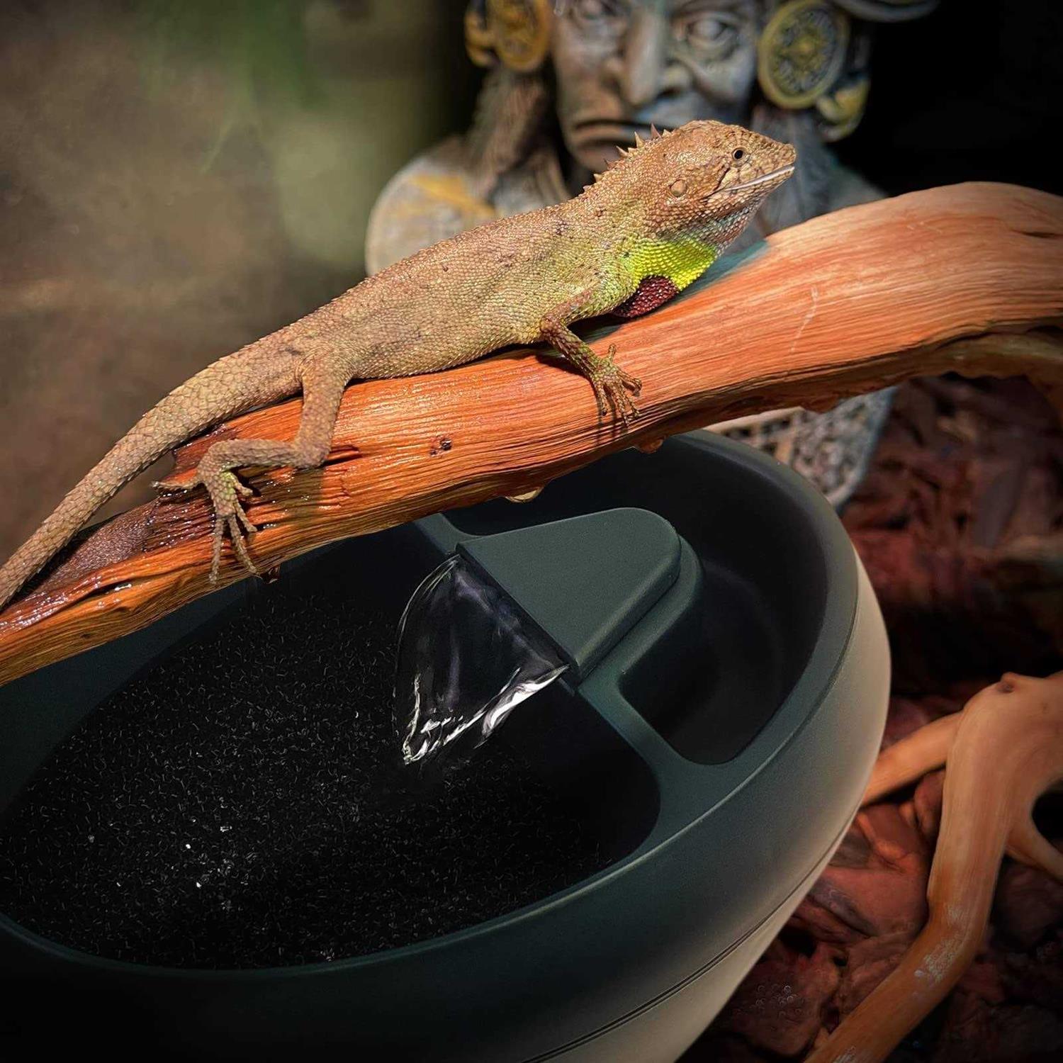 MYGIIKAKA Reptile Drinking Water Fountain Chameleon Accessories Automatic Circulation System with Trough - Nail Gallerys