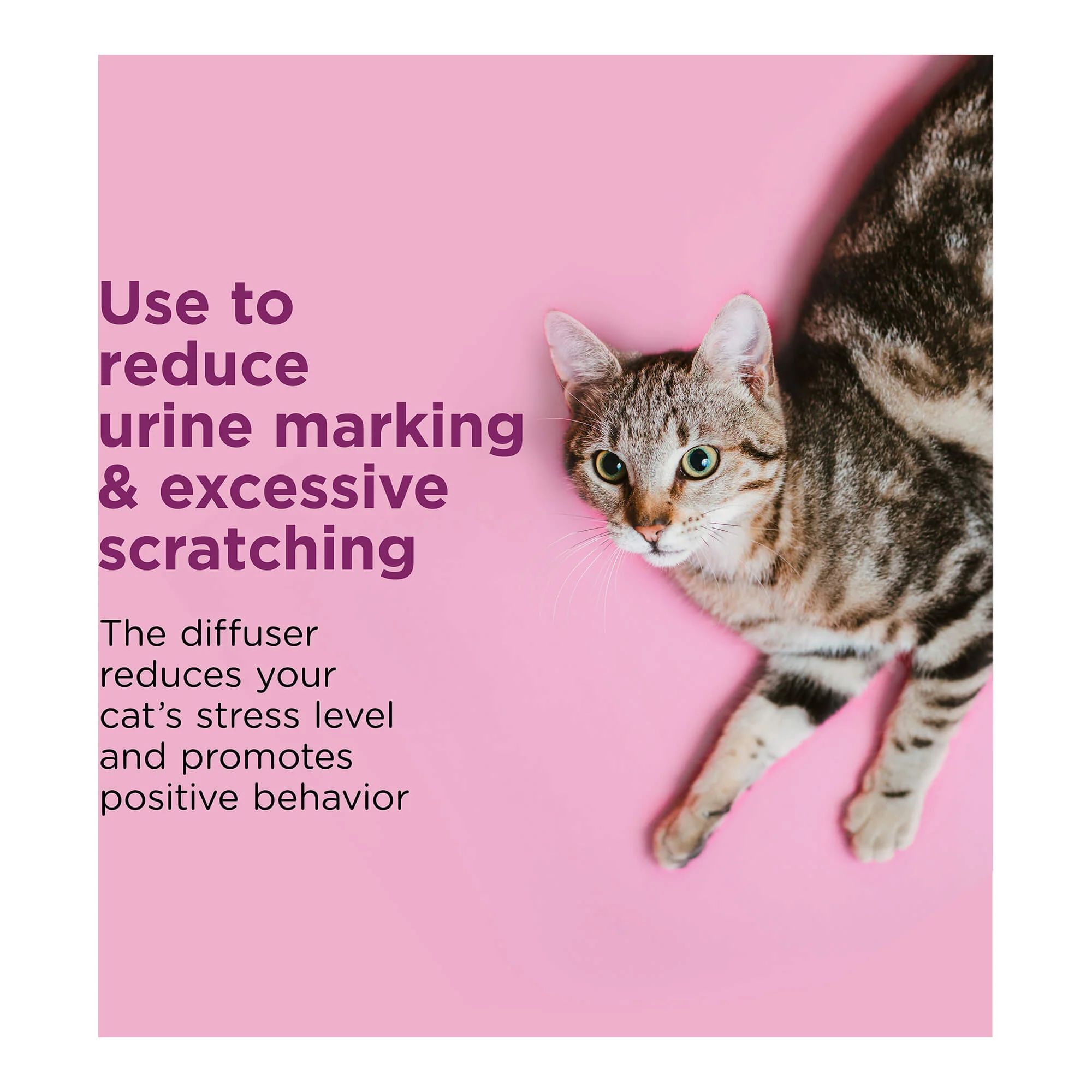 Comfort Zone Calming Diffuser Refills - Nail Gallerys