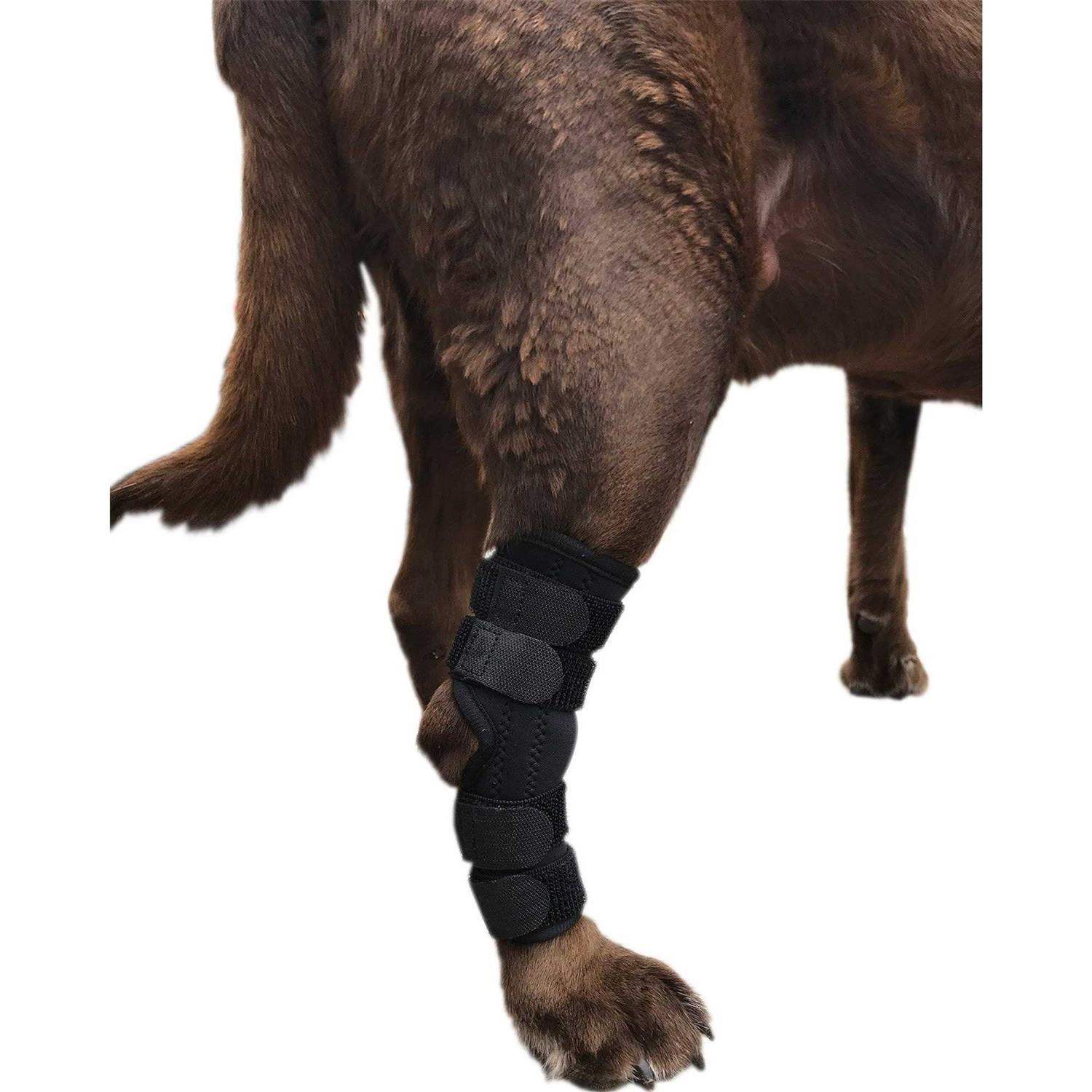 Labra Supportive Dog Rear Leg Hock Joint Wrap Brace with Metal Springs Protects Canine Wounds as They Heal Compression Brace Heals and Prevents - Nail Gallerys