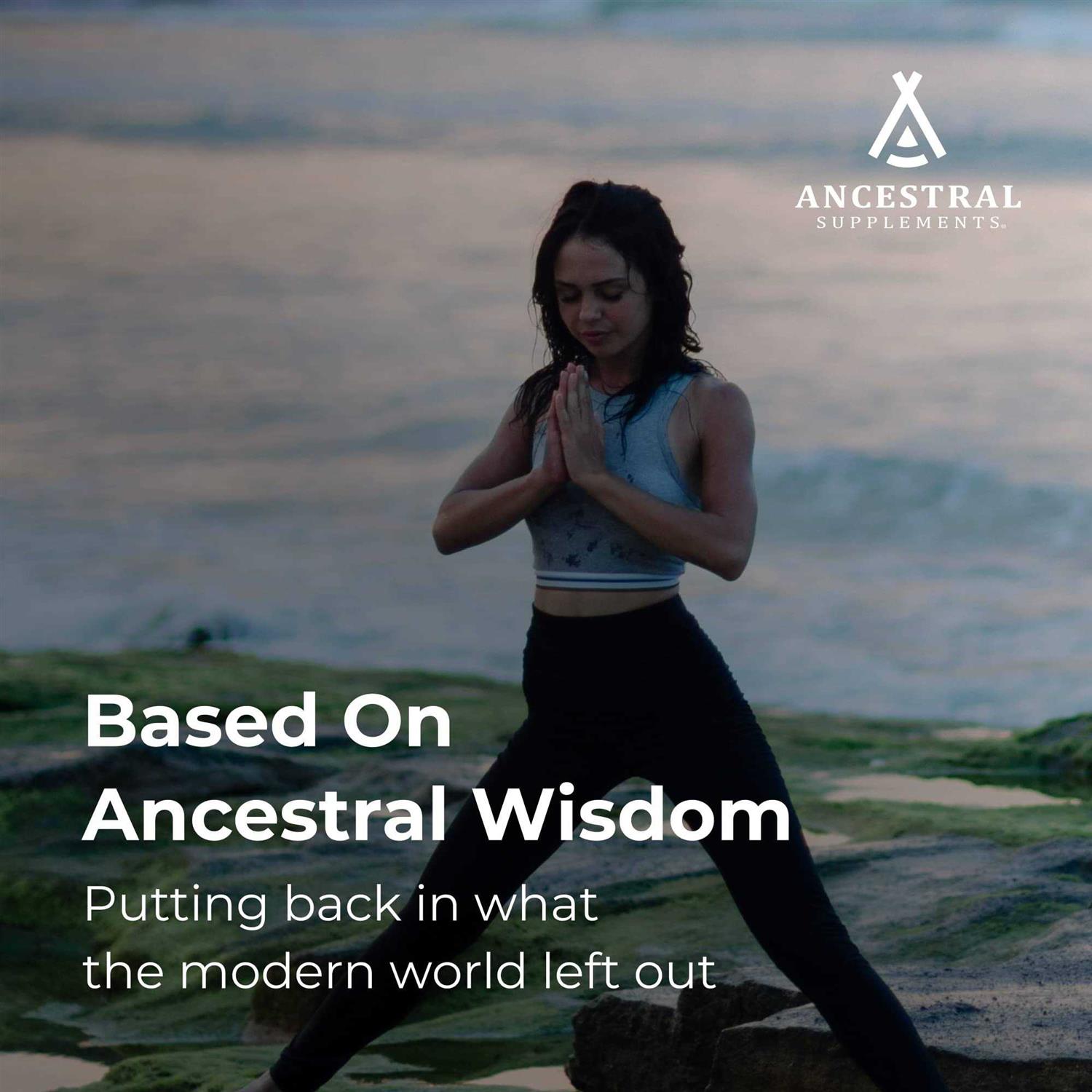 Ancestral Supplements Grass Fed Beef Bone and Marrow Supplement - Nail Gallerys