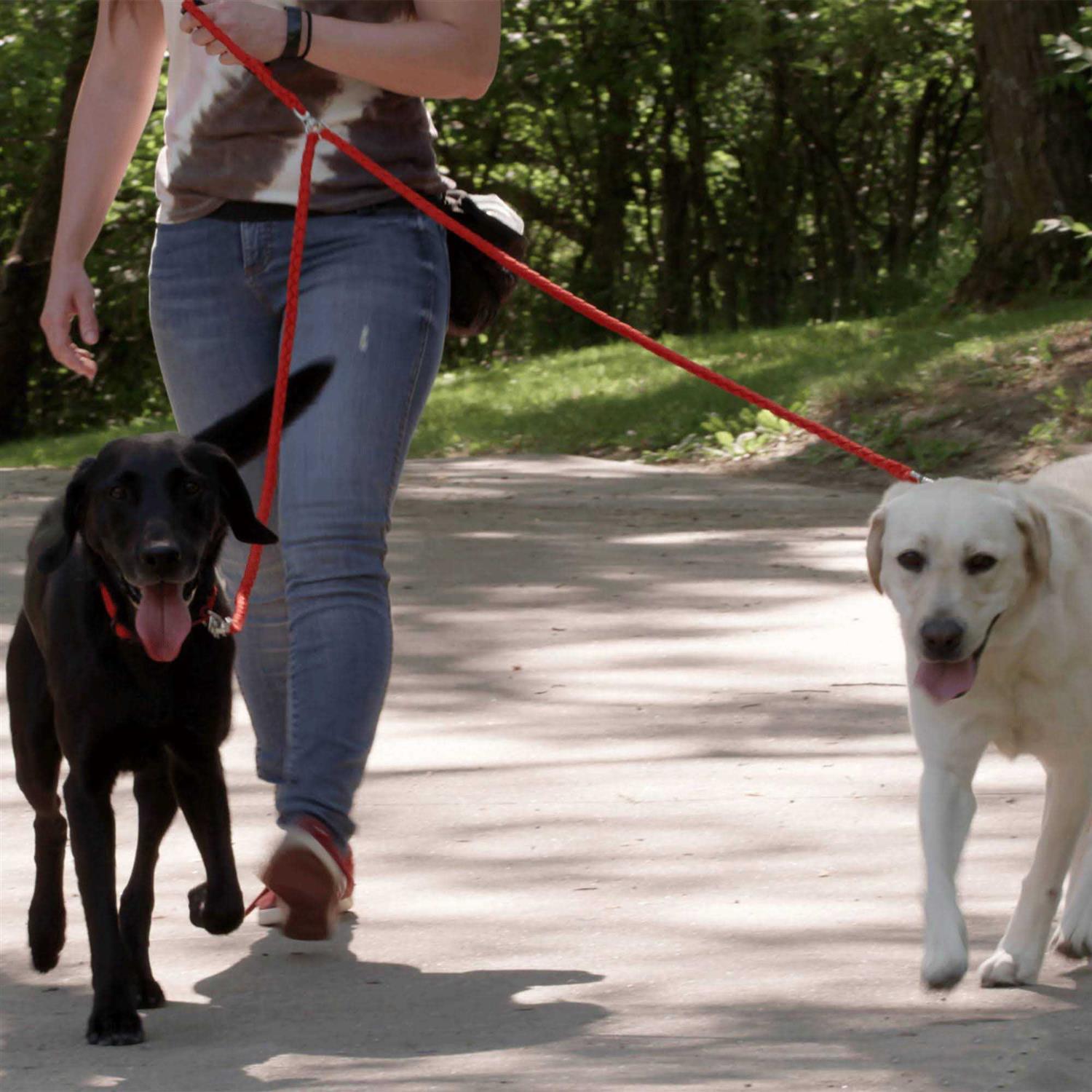 Caldwell’s Pet supply co. Dual Dog Leash Double Dog Leash - Nail Gallerys